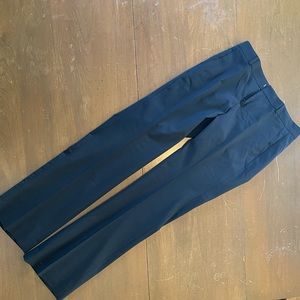 Women’s Banana Republic Fully Lined Wool Dress Pants